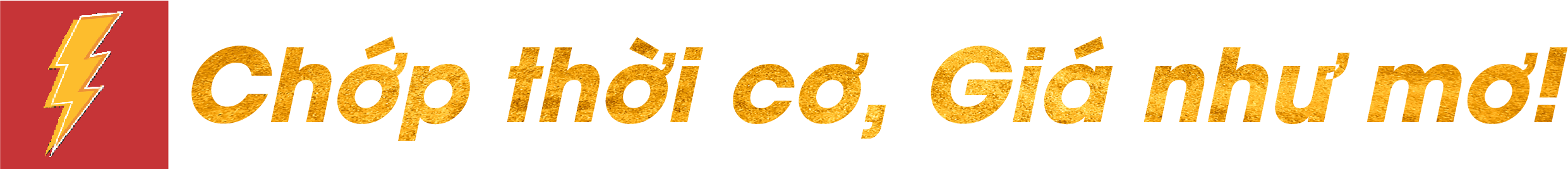 Flash Sale
